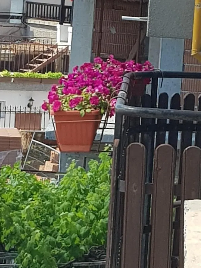 Guest house Slantse Hotel Sozopol